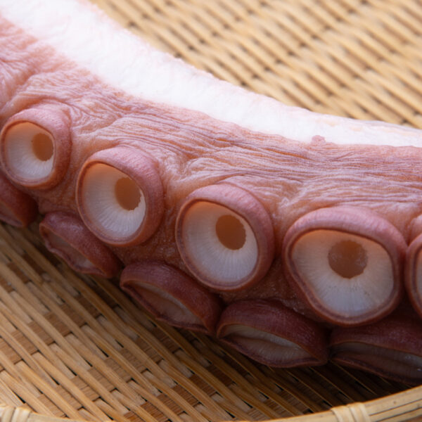 浜茹でタコ足 - 画像 (3)